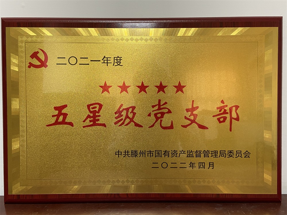房地產(chǎn)綜合開(kāi)發(fā)公司黨支部獲評2021年度“五星級”黨支部