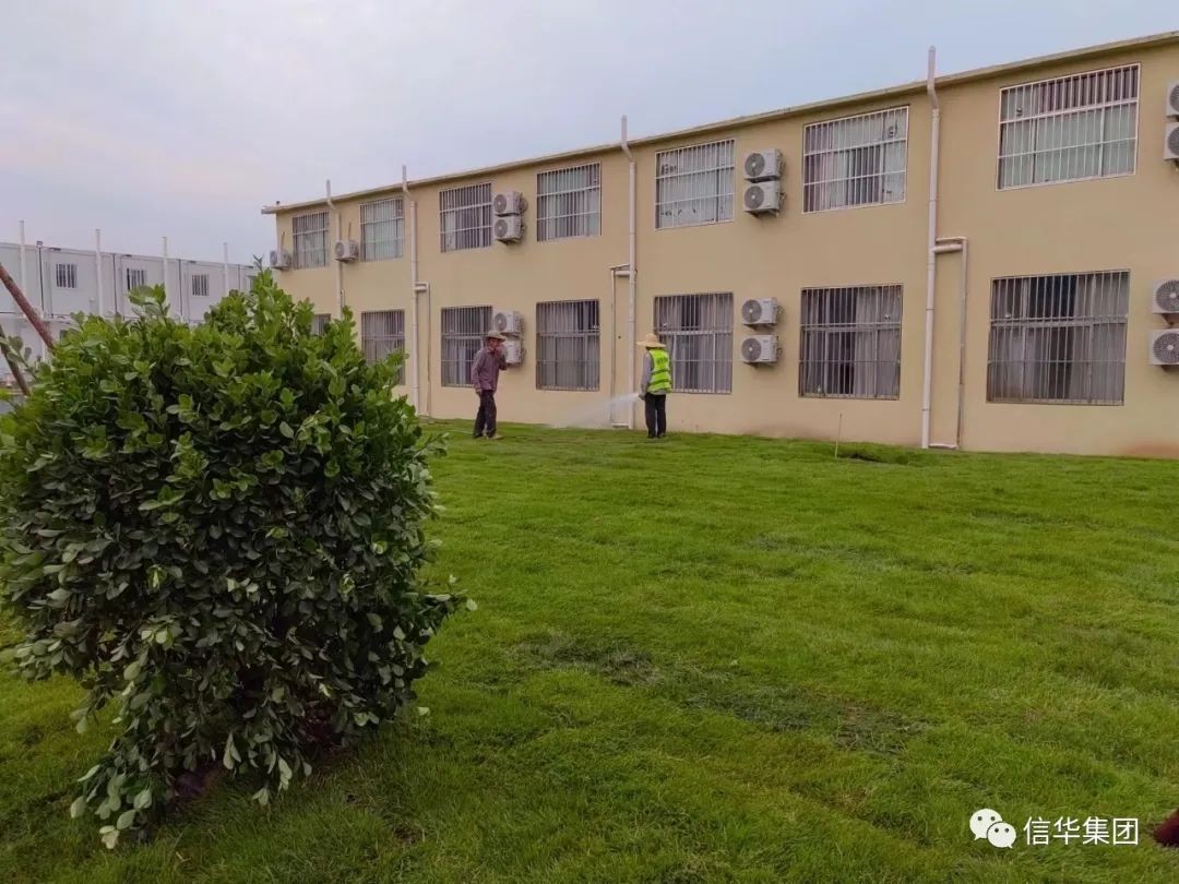 ?遠景市政公司順利完成方艙隔離點(diǎn)園林綠化項目建設